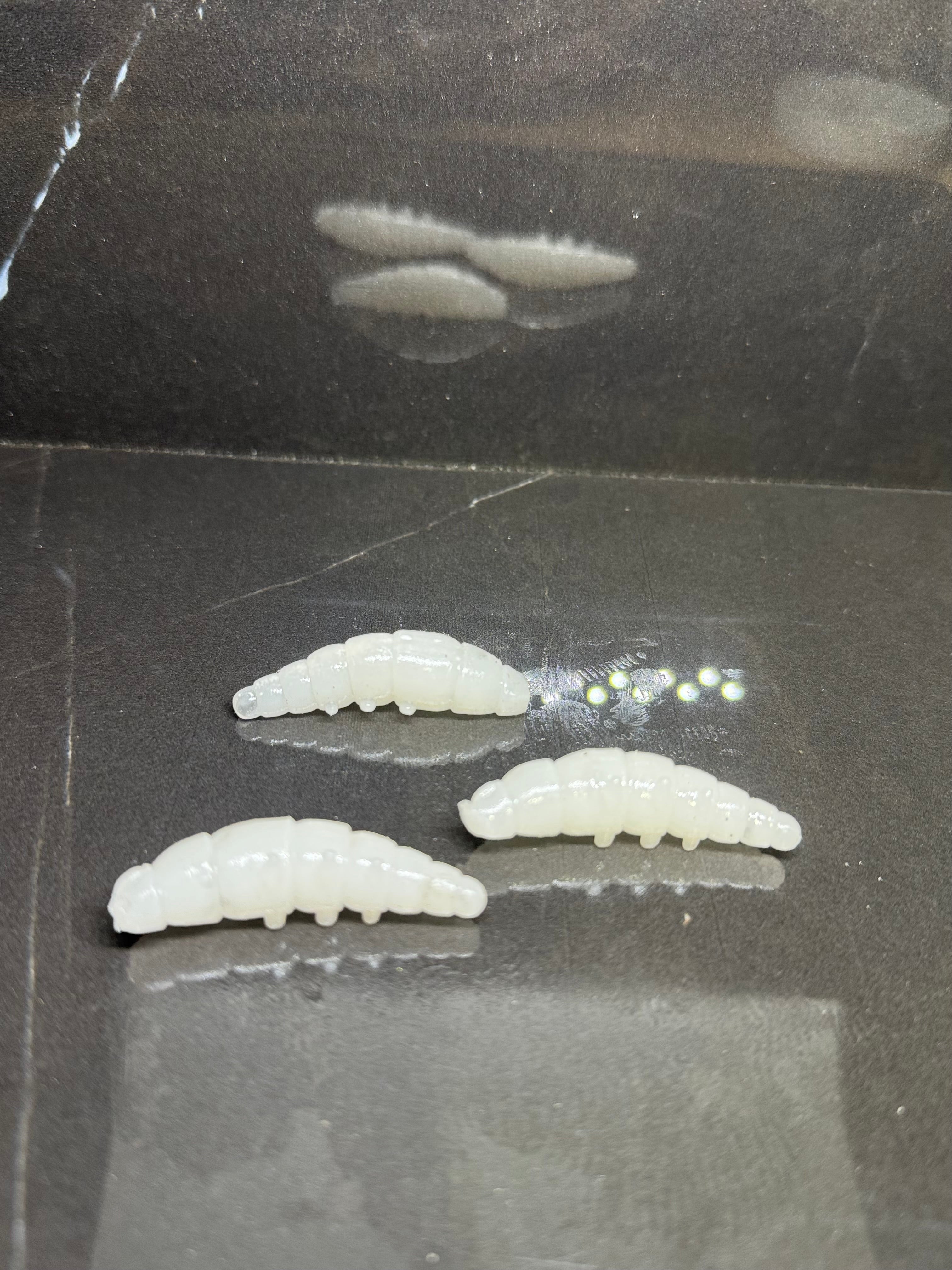 Gummiköder Promaggot 45 mm auftreibend